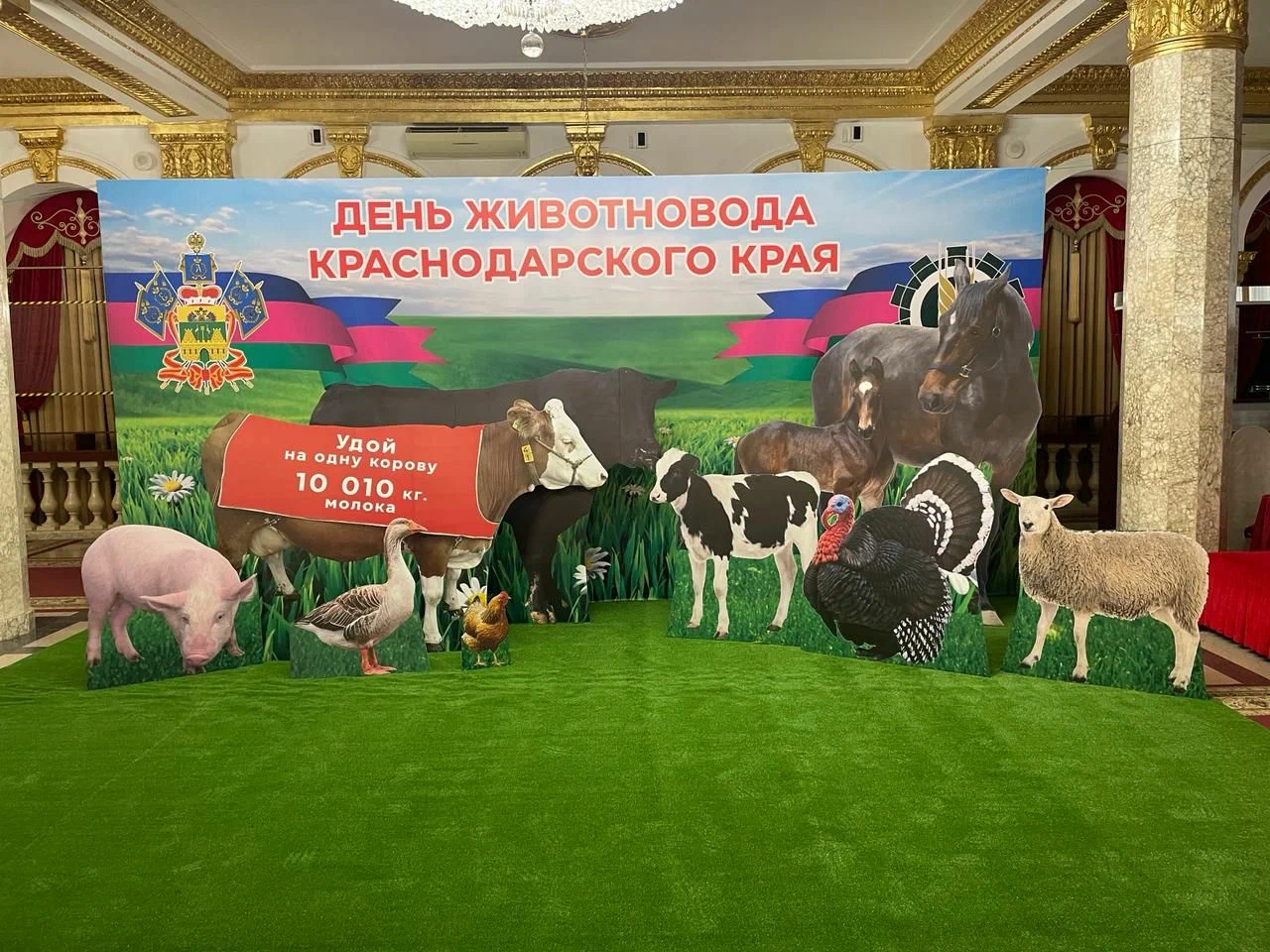 Баннер и фигурные элементы